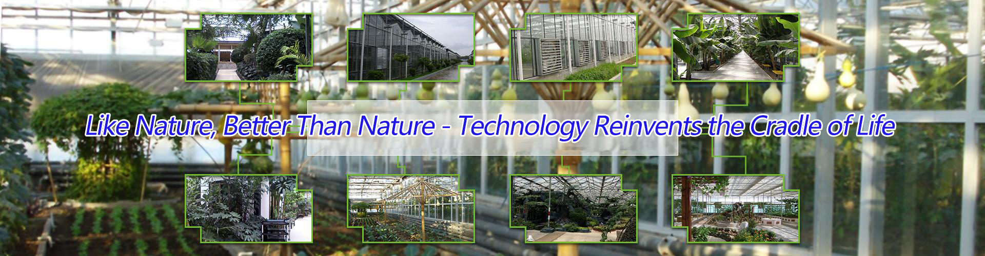 China Fangcheng Agricultural Facility